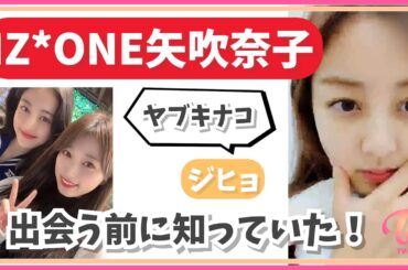 【TWICE】ジヒョ・元IZONE・HKT48矢吹奈子を出会う前に知っていた！PRODUCE48で気になる日本人を発見！【日本語字幕】