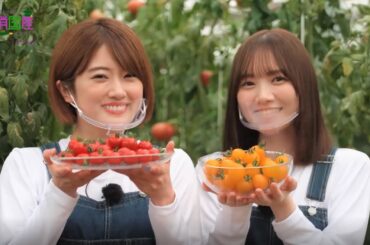 「乃木坂46と一緒に国消国産を学ぼう！」【①野菜・前編】　樋口日奈＆田村真佑（乃木坂46）