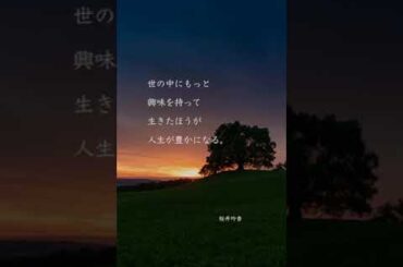 【1日1名言】桜井玲香の名言