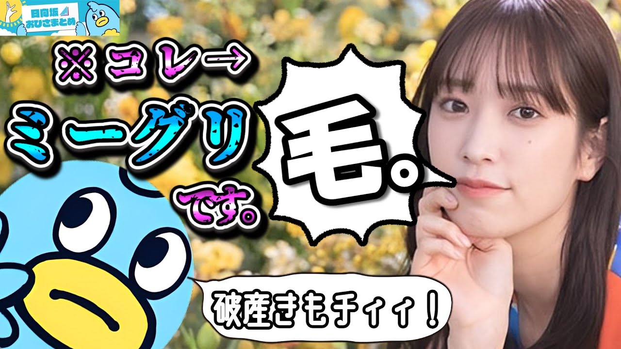 【ミーグリレポ】佐々木久美「ほぼ毛。」【日向坂46おひさまとめ】 【ミーグリレポ】佐々木久美「ほぼ毛。」【日向坂46おひさまとめ】