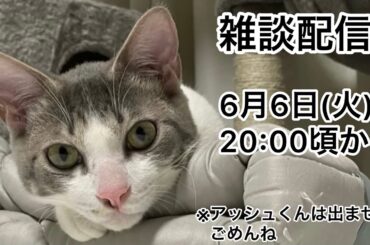 【第1回生配信】雑談 お話ししましょう〜【佐々木琴子】