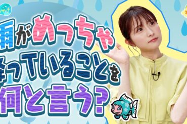 『雨がめっちゃ降っている』ことを何と言う？／とれたてリサーチ