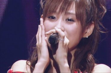 声 / 高橋 愛 (コンサートツアー2006秋〜踊れ！モーニングカレー〜)