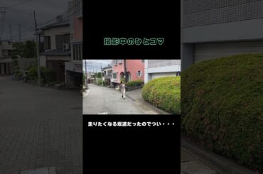 先日のロケにて（これは残念ながら不採用） #賢者の選択 #山田桃子