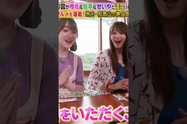 【田村保乃/守屋麗奈】良い表情をするじゃないか！くぁい過ぎるんだなん :)【櫻坂46】