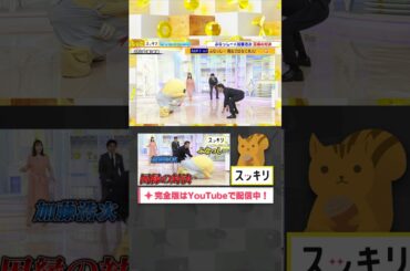 ふなっしーVS加藤浩次 因縁の対決 #スッキリ#shorts#もっとスッキリ#ふなっしー加藤浩次#岩田絵里奈#森圭介