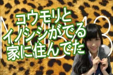 NMB48 矢倉楓子『コウモリやイノシシが出る家に住んでいた』