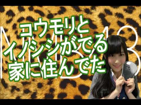 NMB48 矢倉楓子『コウモリやイノシシが出る家に住んでいた』 NMB48 矢倉楓子『コウモリやイノシシが出る家に住んでいた』