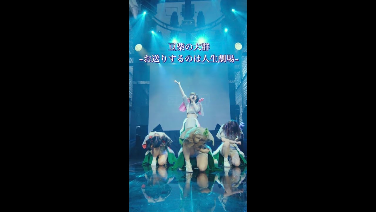 【豆柴の大群】まめまめまーめまーめまめまめま shorts Moe Zine 【豆柴の大群】まめまめまーめまーめまめまめま shorts Moe Zine