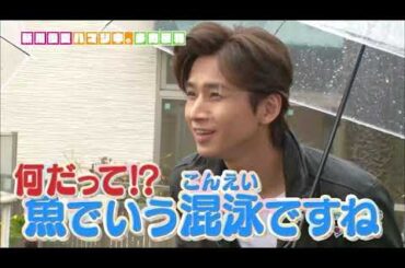 KinKiKids ×オープニング（新川優愛）2017 5 12