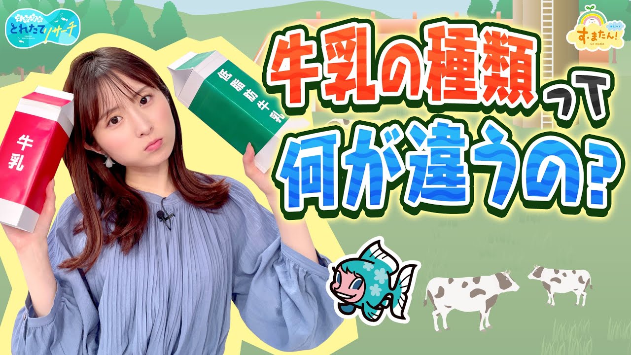 牛乳の種類って何が違うの?/とれたてリサーチ 牛乳の種類って何が違うの?/とれたてリサーチ