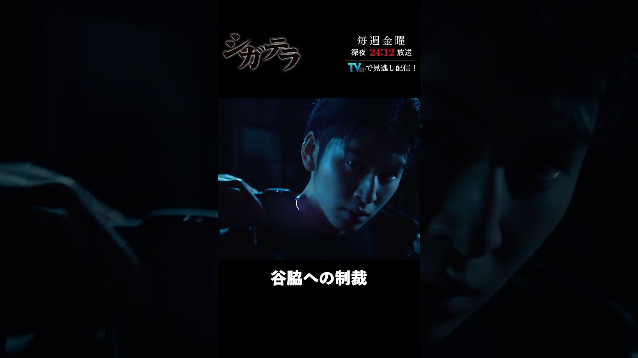 「#シガテラ」【谷脇への制裁ver.】 テレビ東京系 毎週金曜24時12分から放送&TVerで配信中!#醍醐虎汰朗 #関水渚 #長谷川慎 #shorts 「#シガテラ」【谷脇への制裁ver.】 テレビ東京系 毎週金曜24時12分から放送&TVerで配信中!#醍醐虎汰朗 #関水渚 #長谷川慎 #shorts