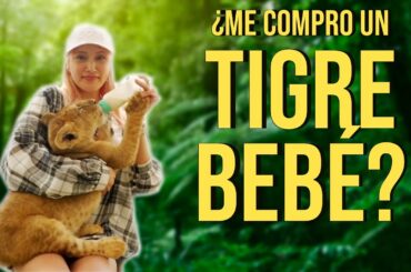 🇯🇵🇲🇽 ¿ME COMPRE UN TIGRE BEBE? 🇯🇵🇲🇽