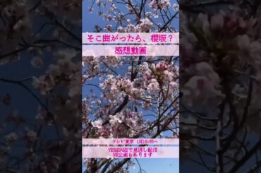 【感想動画】そこ曲がったら、櫻坂？　2023年6月11日放送分　#shorts #櫻坂46 #そこ曲がったら櫻坂 #そこさく #上村莉菜 #感想動画