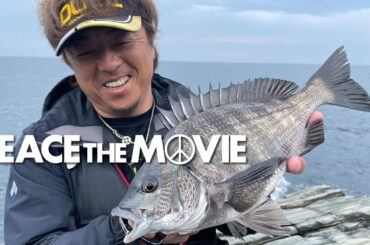 PEACE THE MOVE #114「沼島の海でチヌ狙い!!」関西地方・兵庫県沼島の旅(後編)/平和卓也(1303)