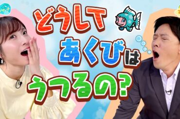 どうして【あくび】はうつるの？／とれたてリサーチ