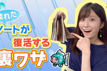 【裏ワザ】濡れたノートを復活させる方法／とれたてFISHING