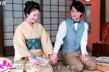 [らんまん] 第12週「マルバマンネングサ」次週予告【ついに思いが通じ合った万太郎(神木隆之介)と寿恵子(浜辺美波)。佐川に帰るも、峰屋が大変なことに…！？】| 朝ドラ | NHK