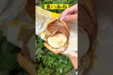 全国的【マックの平成バーガー大復活！そんなことより見てしまうのは池田エライザ】