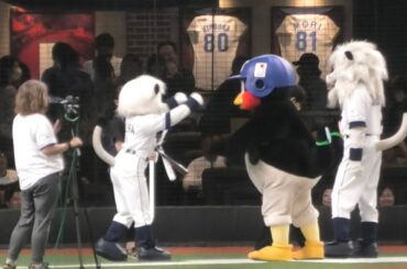 つば九郎、幻ヨハ 小林愛香さんと、小宮有紗さんのスタメン発表を聞く