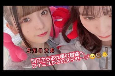 【豆柴の大群】アイミユから皆様へお仕事〜〜〜〜？？？？【サクッと豆柴】