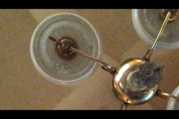 【6月17日ラジオ体操670日目】今日も30度超えるで