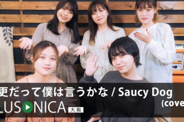 今更だって僕は言うかな / Saucy Dog (cover)