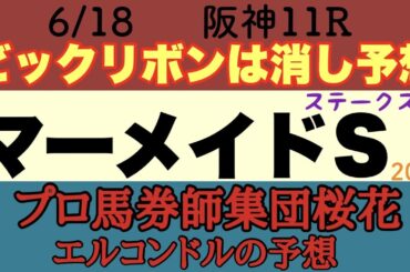 プロ馬券師集団桜花のエルコンドル氏のマーメイドステークス2023予想！！ウインマイティー連覇なるか！ハンデ戦で例年荒れる傾向にあるが今年も波乱あるぞ！
