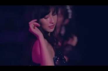 妖艶で美しすぎるイッヌ(19)