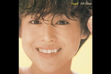 松田聖子 Pineapple（Seiko Matsuda Pineapple Full Album）