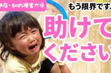 【助けてください】もう限界です...精神崩壊（自閉症　中度知的障害　かほ）