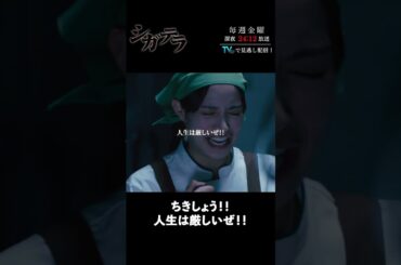 「#シガテラ」【ちきしょう！！人生は厳しいぜ！！ver.】 テレビ東京系 毎週金曜24時12分から放送&TVerで配信中！#醍醐虎汰朗 #関水渚 #長谷川慎 #shorts