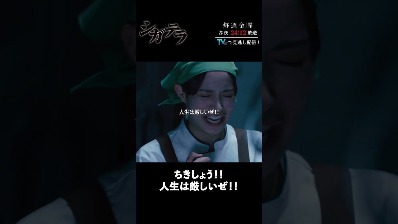 「#シガテラ」【ちきしょう!!人生は厳しいぜ!!ver.】 テレビ東京系 毎週金曜24時12分から放送&TVerで配信中!#醍醐虎汰朗 #関水渚 #長谷川慎 #shorts 「#シガテラ」【ちきしょう!!人生は厳しいぜ!!ver.】 テレビ東京系 毎週金曜24時12分から放送&TVerで配信中!#醍醐虎汰朗 #関水渚 #長谷川慎 #shorts