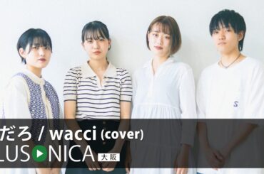 恋だろ / wacci (cover)