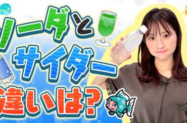 ソーダとサイダーの違いは？／とれたてリサーチ