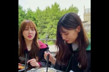 謎のうまうまくんヒヒーンがおもしろい小坂菜緒ちゃん