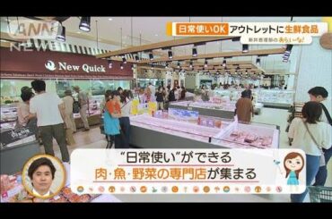「ジ アウトレット湘南平塚」開業　日常使いOK！　“しらす”グルメも【あらいーな】(2023年5月29日)