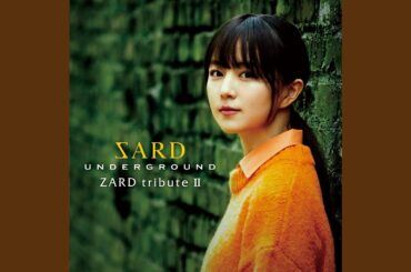 君に逢いたくなったら⋯