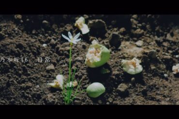 乃木坂46 『日常』Short Ver.