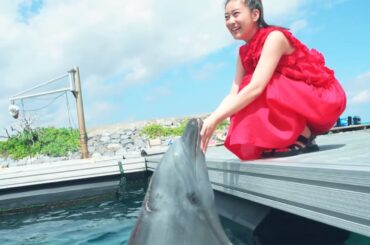 武井咲、沖縄で「一生の宝もの」「一生の宝もの　JTBの夏旅　沖縄」編