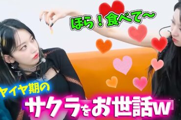 【LE SSERAFIM】食べ物をサクラの口まで運ぶも”イヤイヤ”されるユンジンｗ【日本語字幕】