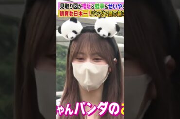 【田村保乃】ふむふむ......そうか！よし！小生は今から、パンダに転生してくるんだなん :)【櫻坂46】