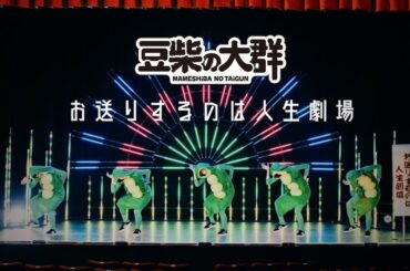 豆柴の大群「豆柴の大群－お送りするのは人生劇場－」MUSiC ViDEO