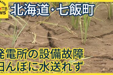 北海道のブランド米が危機発電所の設備故障で田んぼに水送れず…農家悲鳴「収量に影響も」