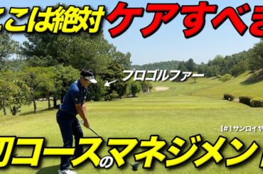 大叩きしないプロは見方が違う。初めてコースで絶対に考えるマネジメントに他のプロたちも納得！！【#1 サンロイヤルGC】