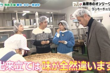 【てんきゅ♡ながさき】島原 ラッキーチェリー豆【NCCトコサタ21市町よかとこめぐり】