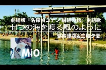 七つの海を渡る風のように / 愛内里菜&三枝夕夏 cover【MiO】