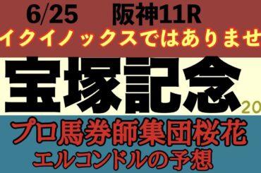 プロ馬券師集団桜花のエルコンドル氏の宝塚記念2023予想！！いよいよ春の総決算グランプリ！イクイノックスが強いのは間違いないが妙味はない！イクイノックスに逆転できる馬を狙え！