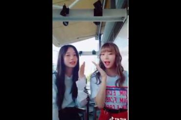 【Tik Tok】伊藤萌々香(フェアリーズ)×まむ