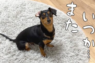 大好きな◯◯とお別れしました
